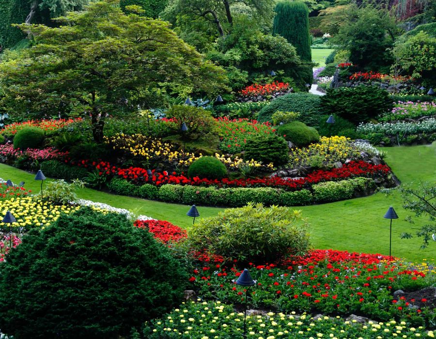 Blog 35 landscaper near me 000
