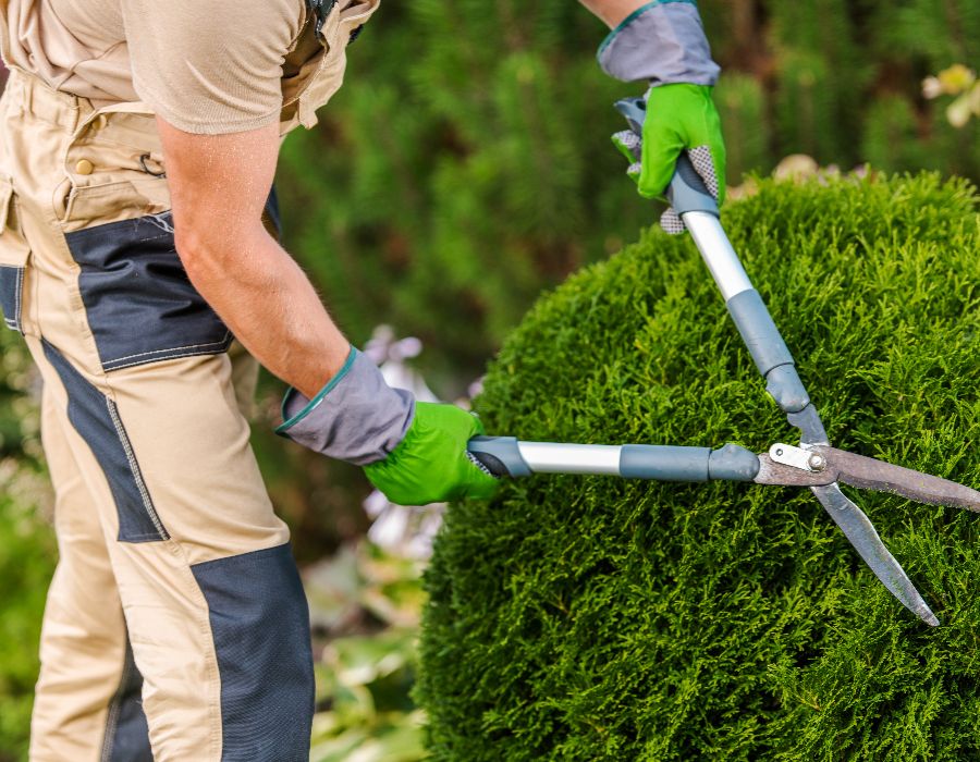 Blog 32 professional landscaping irrigation services in rhode island for over 25 years. 033