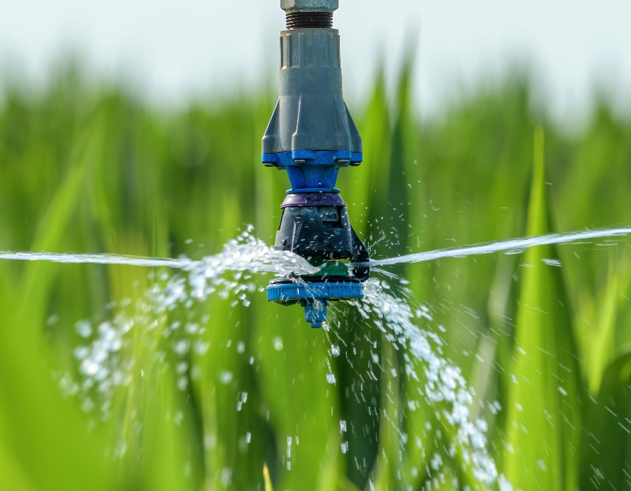 sitescapes irrigation services 014