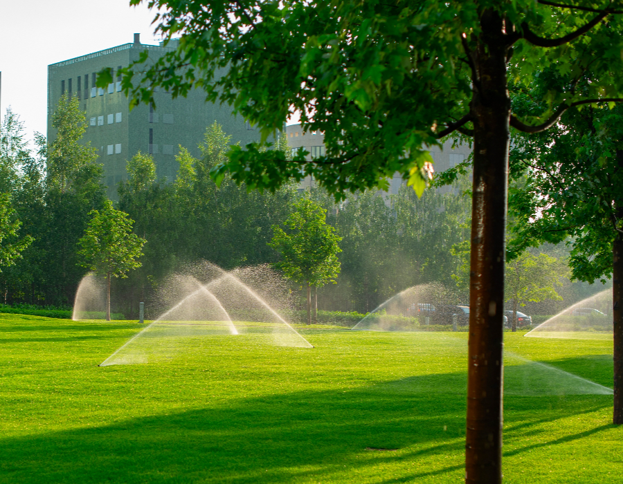 sitescapes residential lawn sprinkler services 040